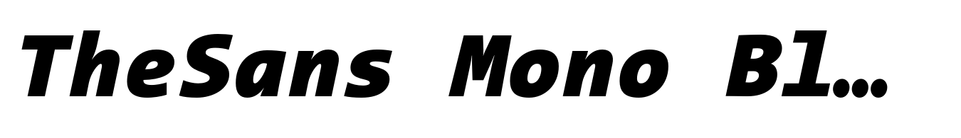 TheSans Mono Black Italic